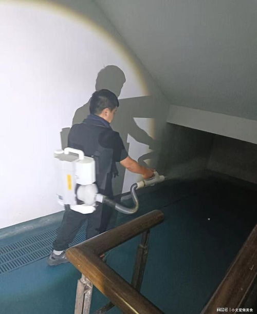 專業白蟻防治與圖文設計 杭州白蟻防治消殺中心服務指南